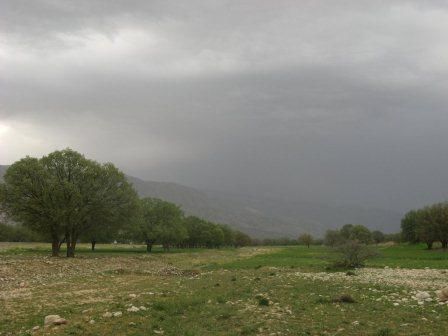 Weather forecast