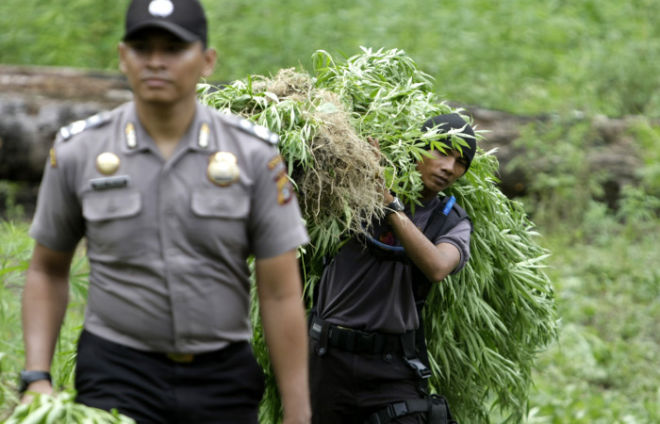 Mexico legalizes marijuana