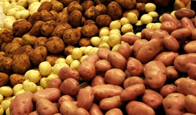 وزیر رفاه اجتماعی: میوه و تره‌بار به کالابرگ اضافه شد