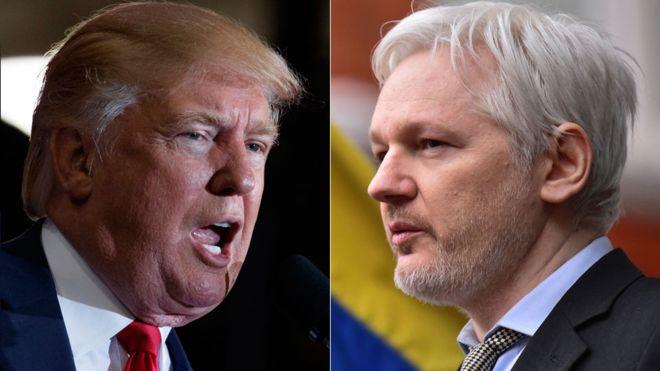 Donald Trump backs Julian Assange