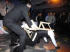 Убившим человека в драке оказался сын депутата