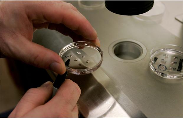 Artificial embryo created for first time in history