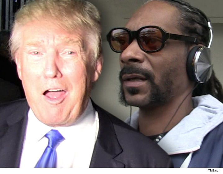 Trump: Snoop would be jailed if...
