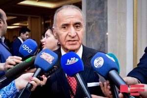 Qərbdə demokratiya böhran keçirir - Hikmət Çətin