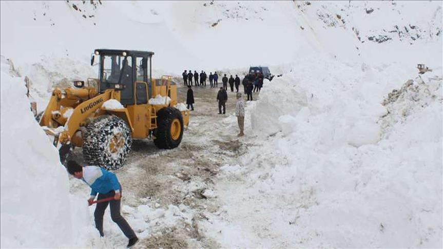 Avalanche killed 4 ministry staff
