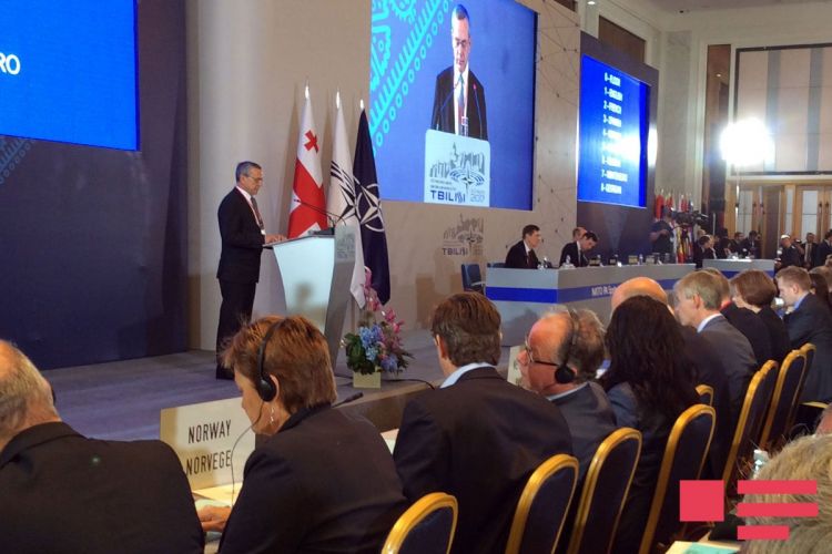 روسییایا پیس خبر: تیفلیسده بیاننامه قبول ائدیلدی