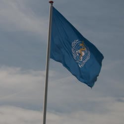 WHO pushes bold reforms, launching 3 by 35 initiative