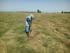164 mines neutralized in Azerbaijan in one week