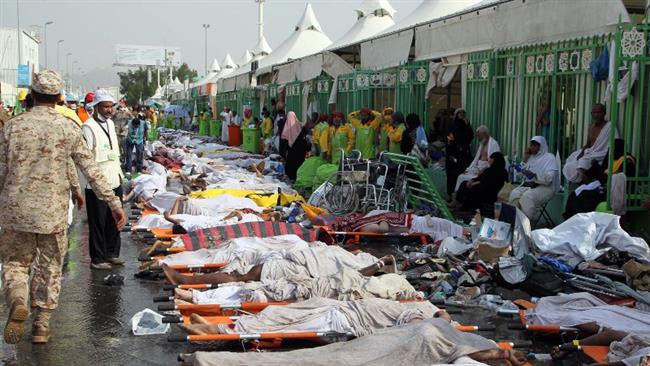 Half a million pilgrims have received medical services