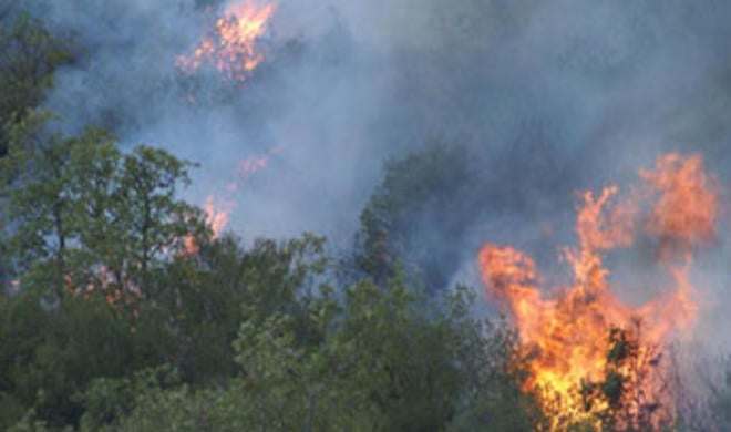 Fire razes through over 170 buildings in Japan