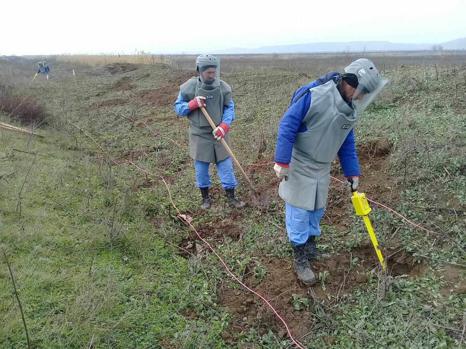 ANAMA neutralizes 228 mines in liberated areas