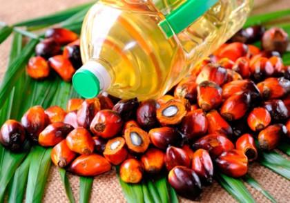 Azərbaycana palma yağı haradan gətirilir? - Video