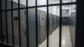 First wave of 700 prisoners released early in UK