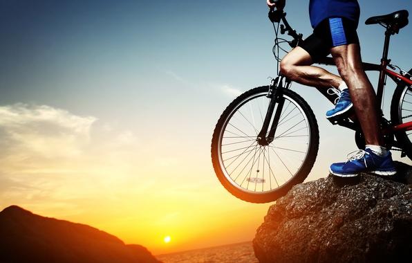 French cyclist freed by Russian court
