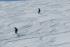 Nine skiers missing in US avalanche