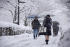 Death toll from heavy Japan snow hits 30