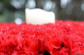 Azərbaycan Efiopiyadan qərənfil tədarük etməyə başladı