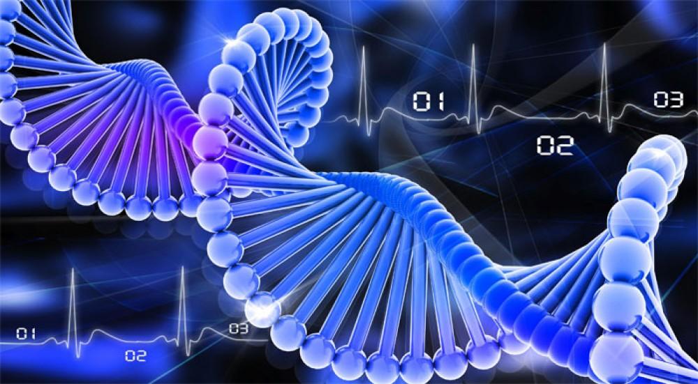 Baby gene experiment 'foolish and dangerous'