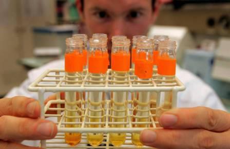 China develops first human embryo model for organ growth