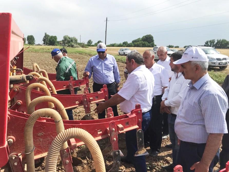 Subsidiya alan fermerlerə şad xəbər!