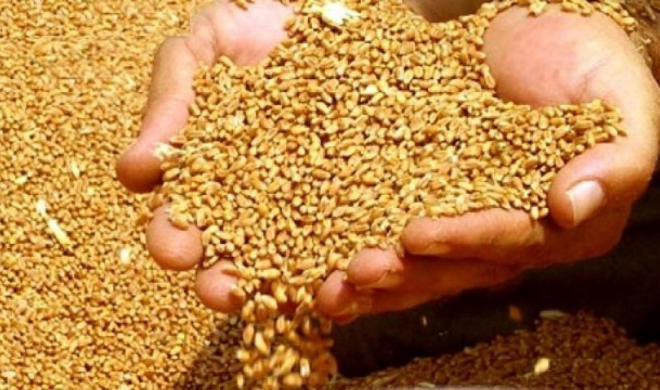 رکوردشکنی قیمت غذا در جهان