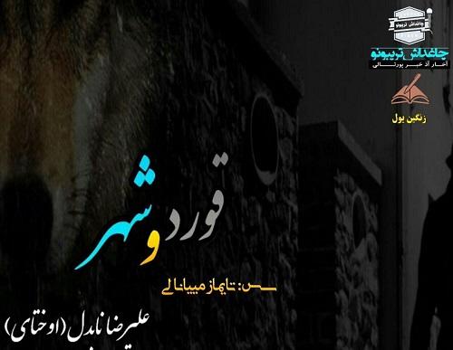 گونیلیلرین رادیوسونون نؤوبتی بوراخیلیشی – ویدئو