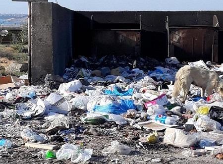 Bu bələdiyyə sədrləri cərimələndi