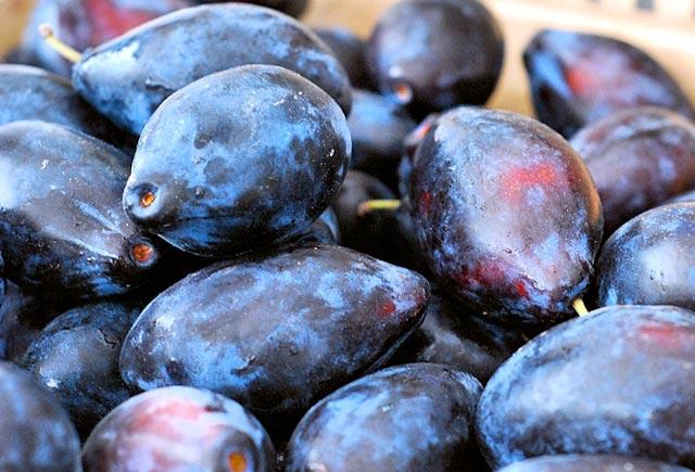 Xərçəngin dərmanı bu meyvə imiş - Alimlərdən şok kəşf