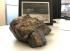 4.1-billion-year-old Martian meteorite found in Sahara