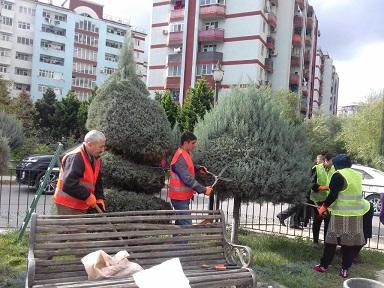 BŞİH-dən vətəndaşlara müraciət: Sabah iməcilikdir