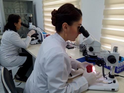 Oldest cave painting robs Europe ‘birthplace of art’ claim