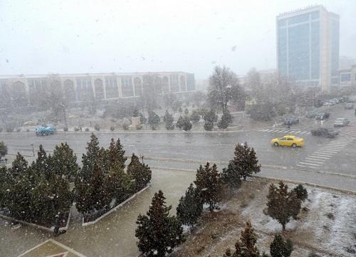 DYP Naxçıvanla bağlı müraciət etdi