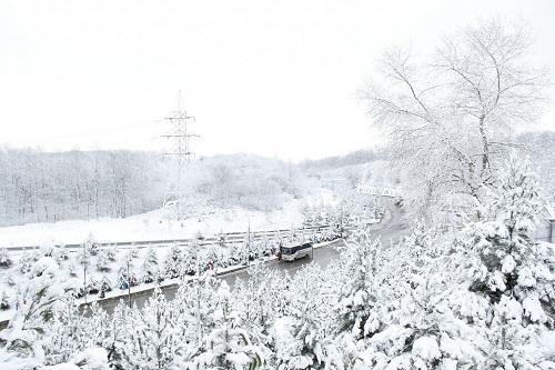 Bu rayonlara qar yağdı