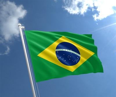 Brazil environment minister heckled over Amazon fires -