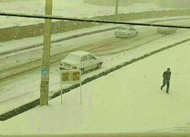 قارلی تبریز بو گون - فوتو
