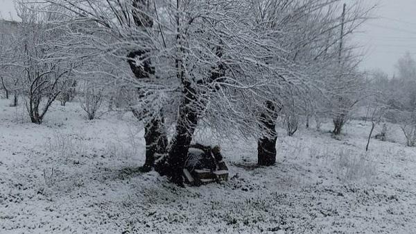 Sabah bu ərazilərə qar yağacaq