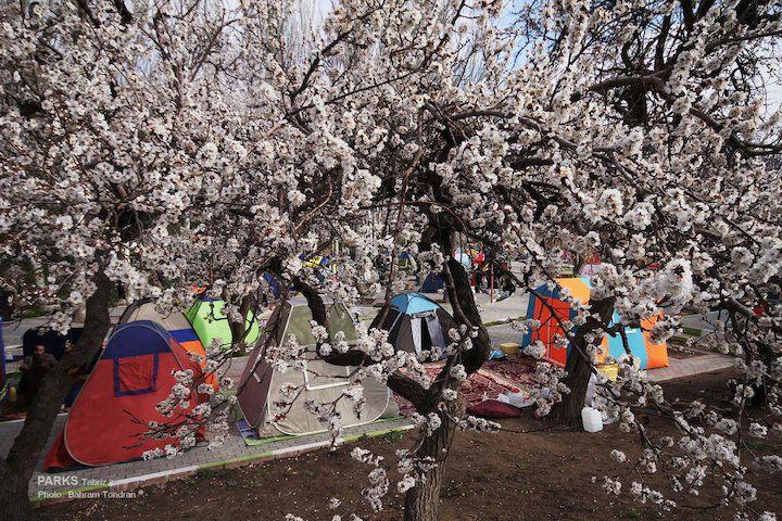 Samuxda piknik edənlər cərimələndi