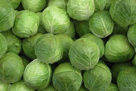 Kələmin kəskin bahalaşmasının səbəbi bilindi - Video