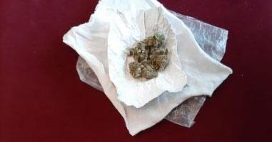 Gəncədə narkobaron saxlanıldı