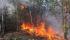 Chernobyl wildfire expands beyond 1,100 hectares -