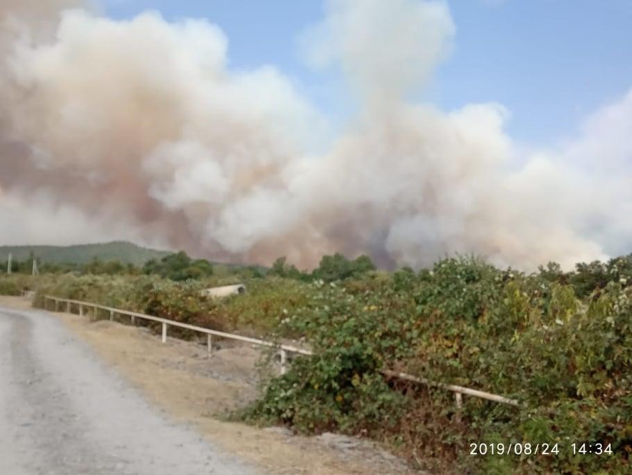 Şamaxıda yanğın söndürüldü, Oğuzda isə... - Video