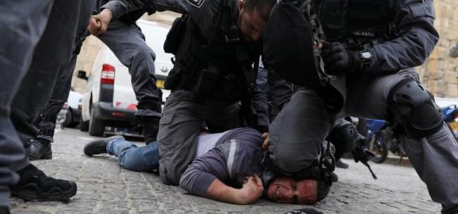 Israel arrests 11 terrorist suspects