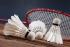 Azerbaijani badminton player claims bronze in Serbia