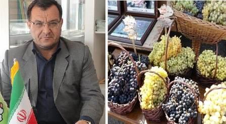 جشنواره «انگور و دوشاب» در تفرجگاه عینالی برگزار میشود