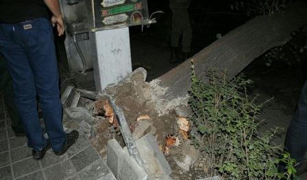 تبریزده یئل آغاجلاری قوپاردی، ماشینلارا زیان دیدی