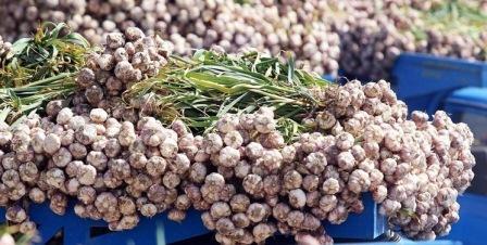 Gündə 2 diş: ömrü 10 il uzada bilər...