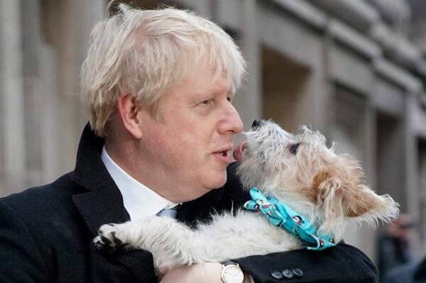 Johnson takes his dog to the polling station -