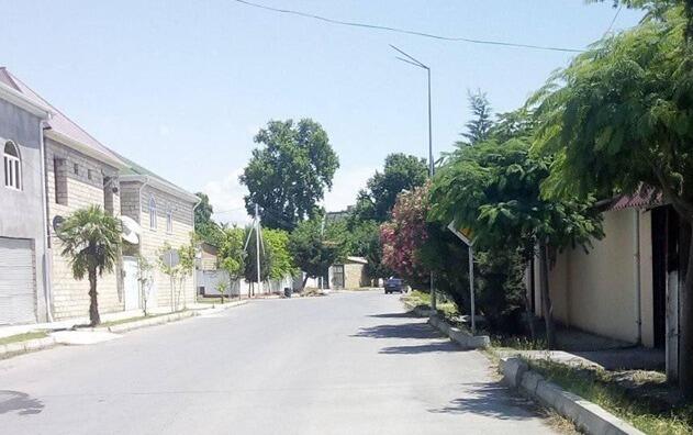 Göyçayda yol nişanları niyə “gizlədilib”? - Foto