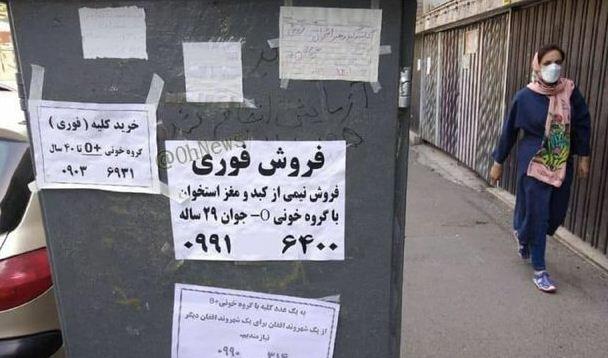 Ərini həbsdən çıxarmaq üçün böyrəyini satışa çıxardı