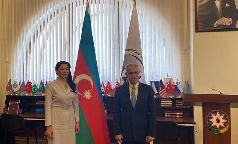 Aliyeva met with the UN representative -